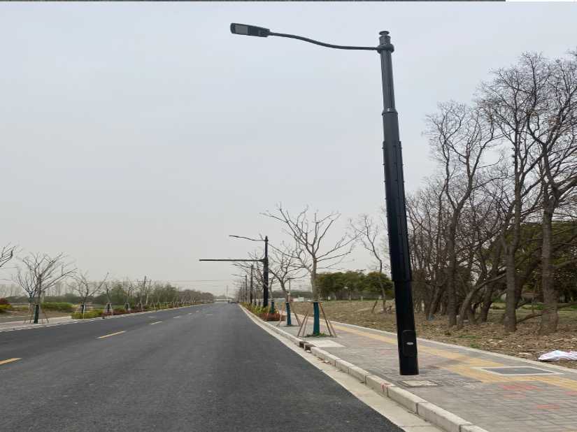 琅琊区上海综合杆 太阳能路灯工程